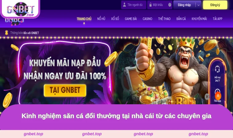 Kinh nghiệm săn cá đổi thưởng tại nhà cái từ các chuyên gia