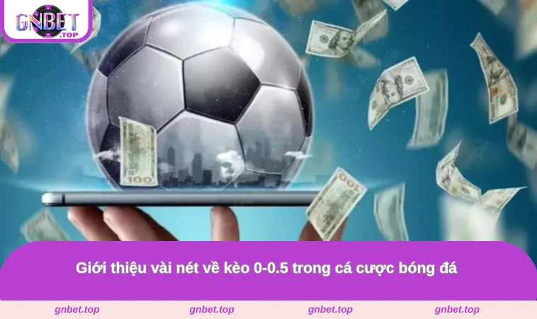 Giới thiệu vài nét về kèo 0-0.5 trong cá cược bóng đá