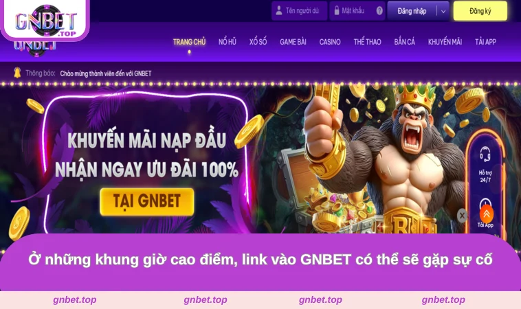 Ở những khung giờ cao điểm, link vào GNBET có thể sẽ gặp sự cố