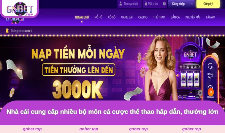 Nhà cái cung cấp nhiều bộ môn cá cược thể thao hấp dẫn, thưởng lớn